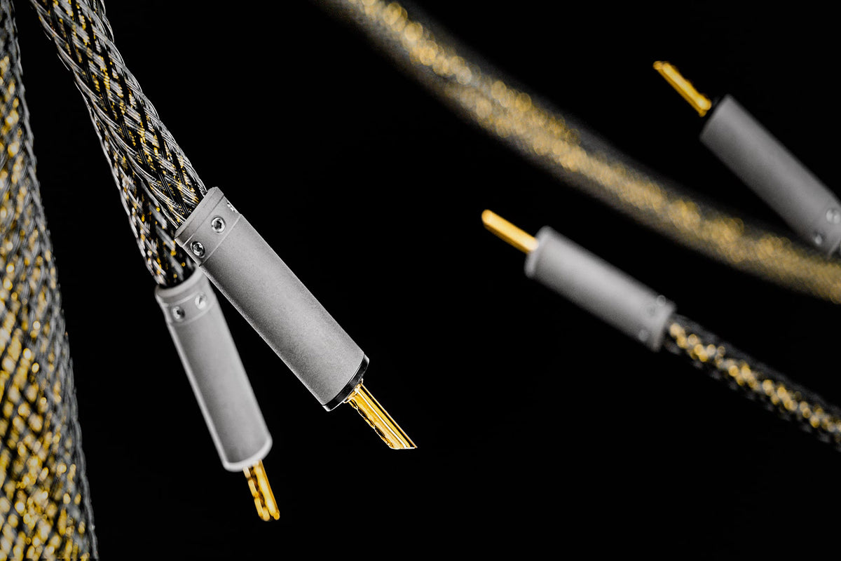 Ansuz Speakz D-TC Gold Signature/Speaker Cable