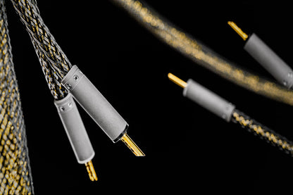Ansuz Speakz D-TC Gold Signature/Speaker Cable