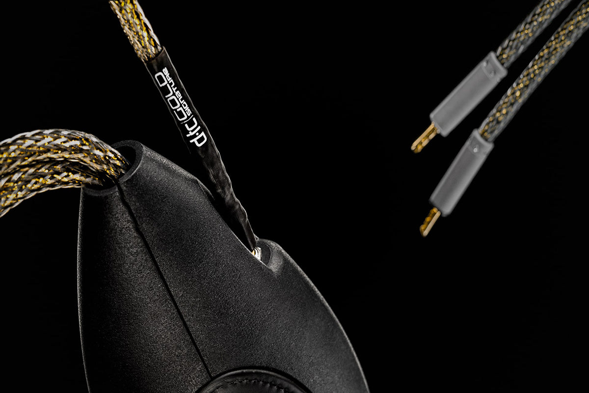 [骨董品] A＆D ステレオ Ansuz Speakz D-TC Gold Signature/Speaker Cable | House Of Stereo