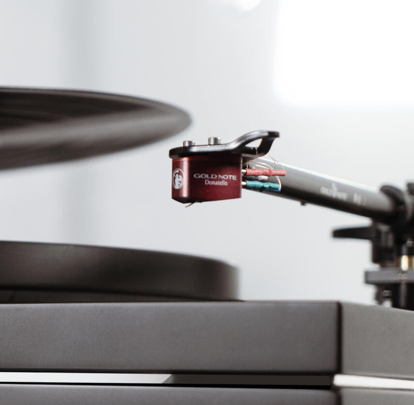 Gold Note Donatello