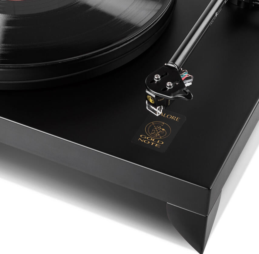 Gold Note Valore 425 Plus