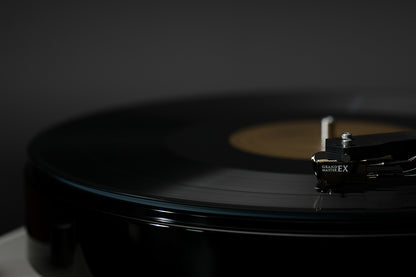 DS Audio DS Grand Master EX