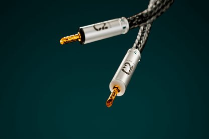 Ansuz Jumperz C2/Jumper Cable