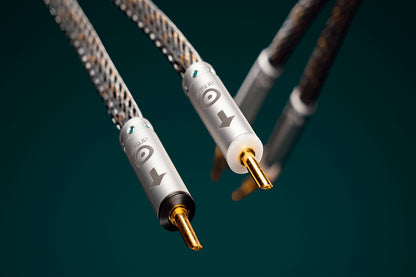 Ansuz Jumperz D-TC2/Jumper Cable