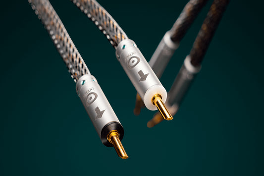 Ansuz Jumperz D-TC2/Jumper Cable