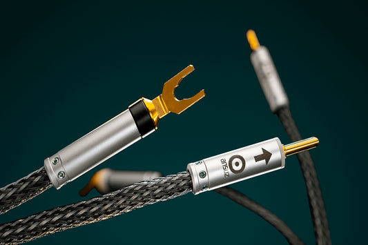 Ansuz Jumperz P2/Jumper Cable