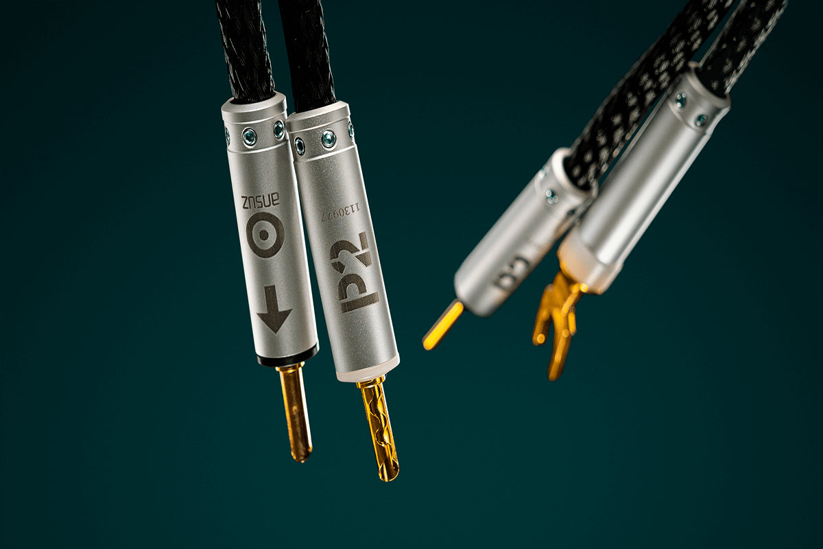 Ansuz Jumperz P2/Jumper Cable