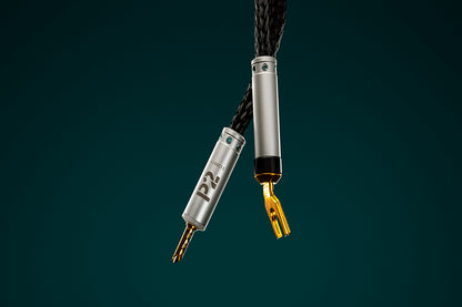 Ansuz Jumperz P2/Jumper Cable