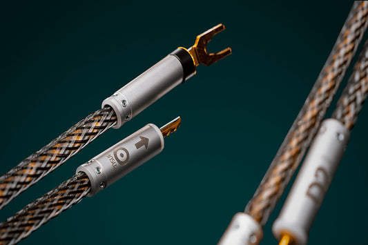 Ansuz Jumperz D2/Jumper Cable