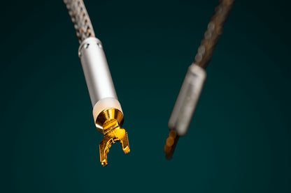 Ansuz Jumperz D2/Jumper Cable