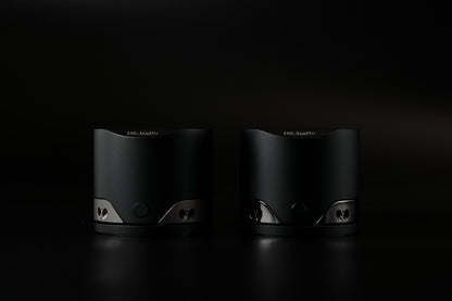 DS Audio ES-002 Eccentricity Detection Stabilizer