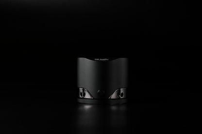 DS Audio ES-002 Eccentricity Detection Stabilizer
