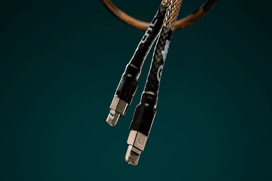 Ansuz Digitalz Lan D-TC2/Ethernet Cable