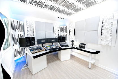 Vicoustic Wavewood Ultra Lite