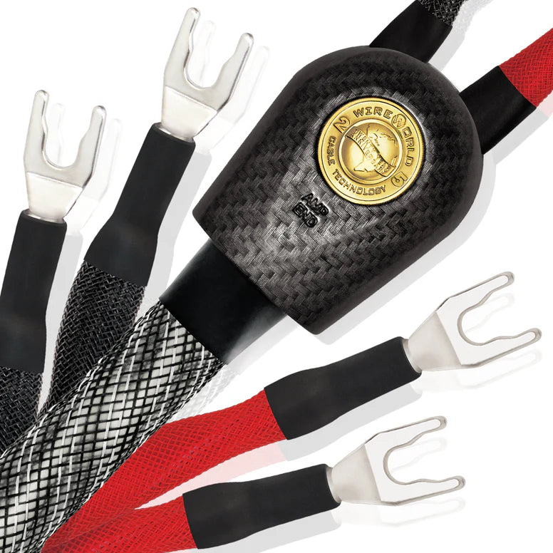 Wireworld Platinum Eclipse 10 Biwired Speaker Cable