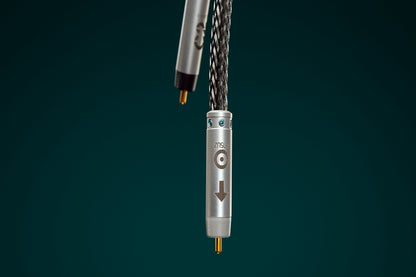 Ansuz Signalz C2/Signal Cable (RCA)