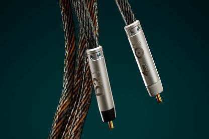 Ansuz Signalz D2/Signal Cable (RCA)