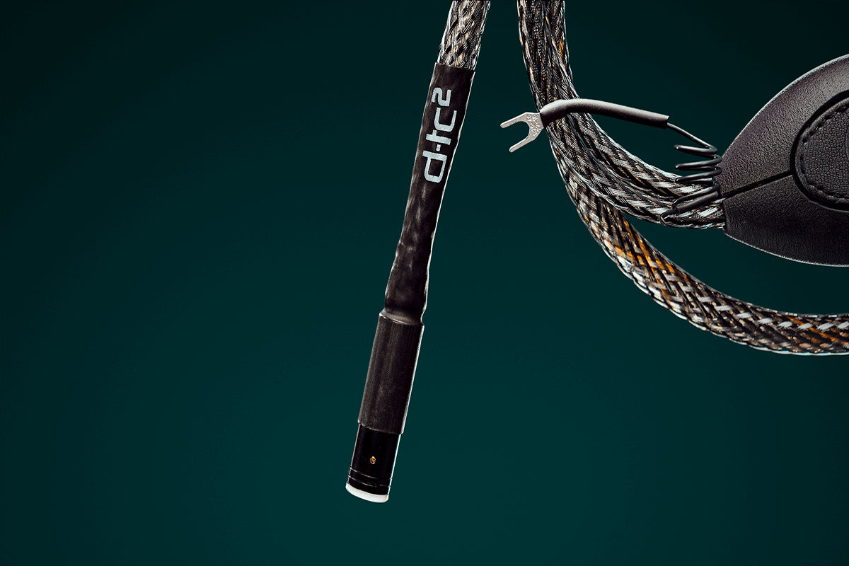 Ansuz Signalz Phono D-TC2/Tonearm Cable