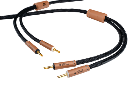 Ansuz Speakz A3/Speaker Cable