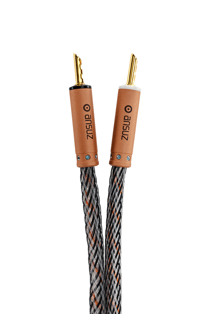 Ansuz Speakz D3/Speaker Cable