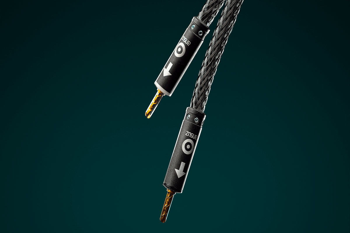 Ansuz Speakz D-TC Supreme/Speaker Cable