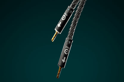 Ansuz Speakz D-TC Supreme/Speaker Cable