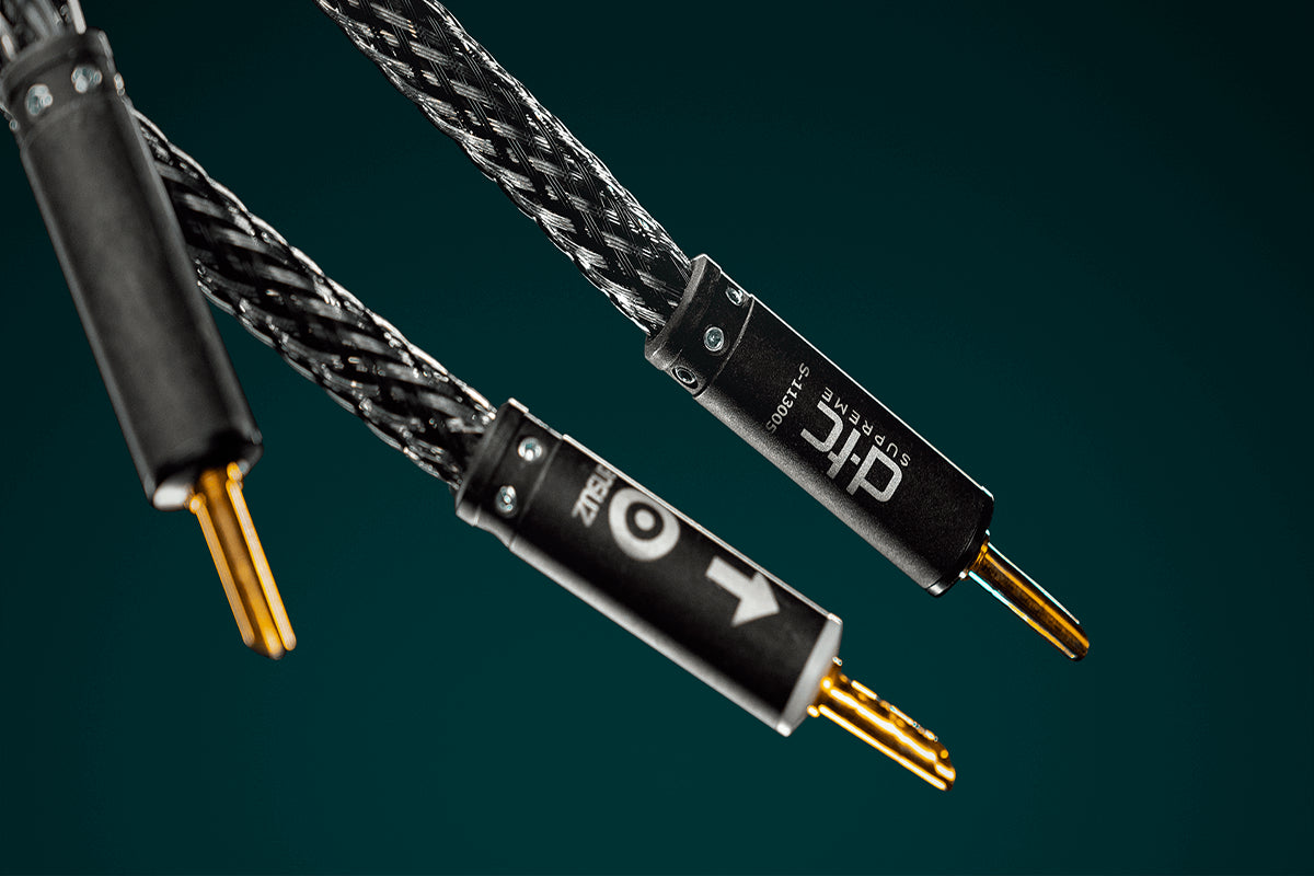 Ansuz Speakz D-TC Supreme/Speaker Cable