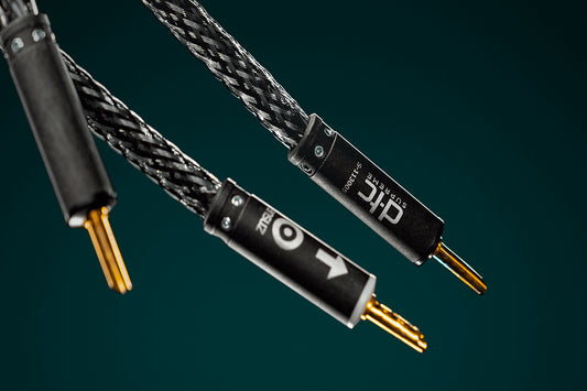Ansuz Speakz D-TC Supreme/Speaker Cable