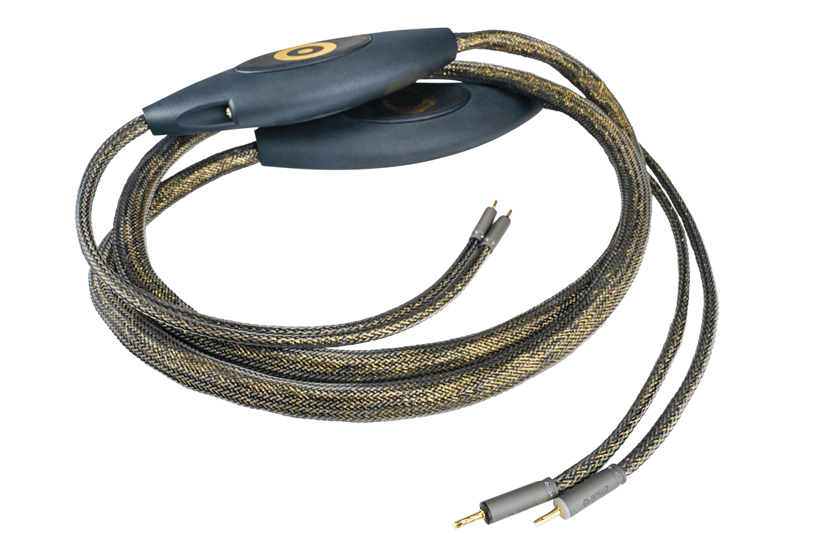 Ansuz Speakz D-TC3 Gold Signature/Speaker Cable