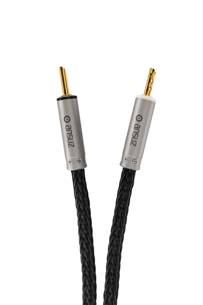 Ansuz Speakz X-TC3/Speaker Cable