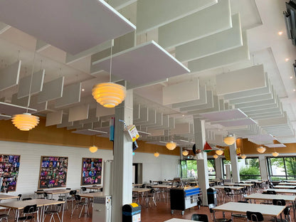 Vicoustic Suspended Baffle PET MKII - Special Order (Custom Order)
