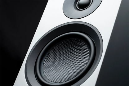 Pro-Ject Speaker Box 10 E Carbon