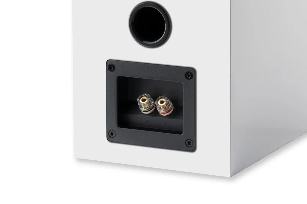 Pro-Ject Speaker Box 5 E Carbon