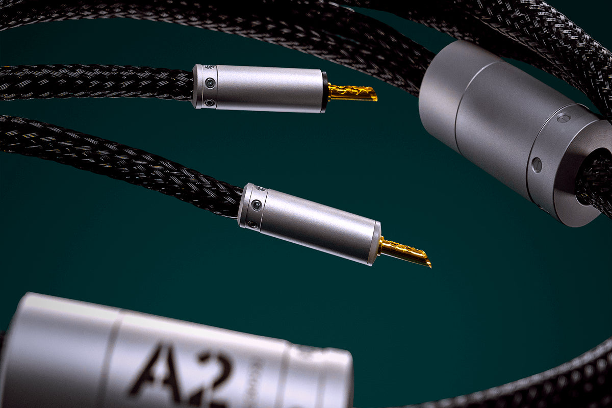 Ansuz Speakz A2/Speaker Cable