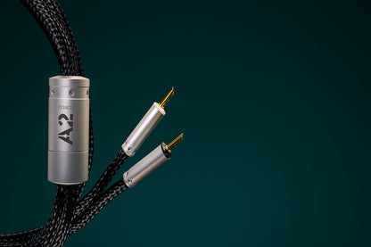 Ansuz Speakz A2/Speaker Cable