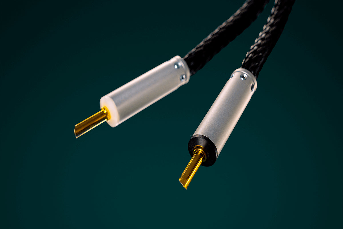 Ansuz Speakz A2/Speaker Cable