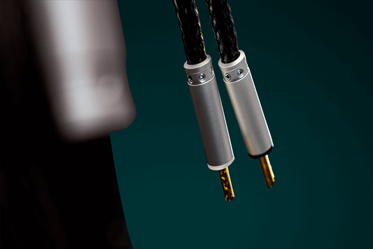 Ansuz Speakz C2/Speaker Cable