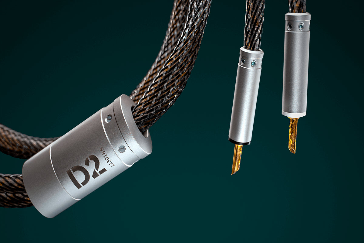 Ansuz Speakz D2/Speaker Cable