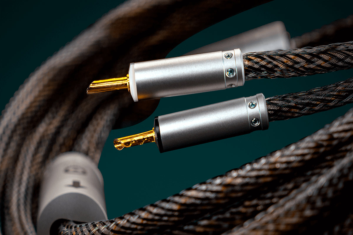 Ansuz Speakz D2/Speaker Cable