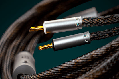 Ansuz Speakz D2/Speaker Cable