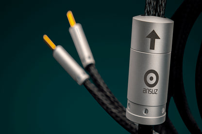 Ansuz Speakz P2/Speaker Cable