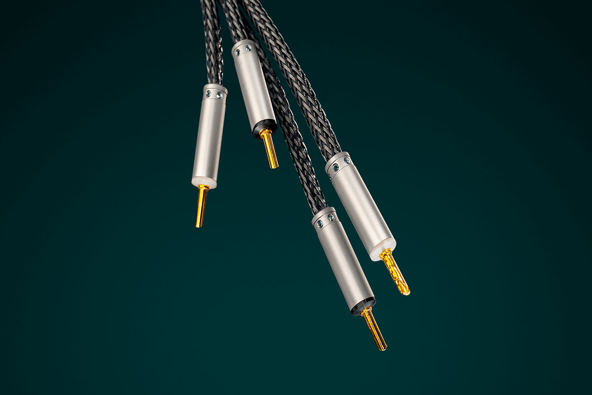 Ansuz Speakz P2/Speaker Cable
