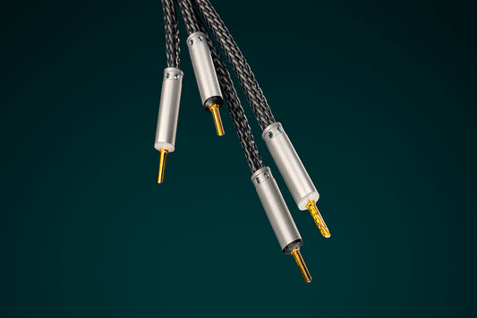 Ansuz Speakz P2/Speaker Cable