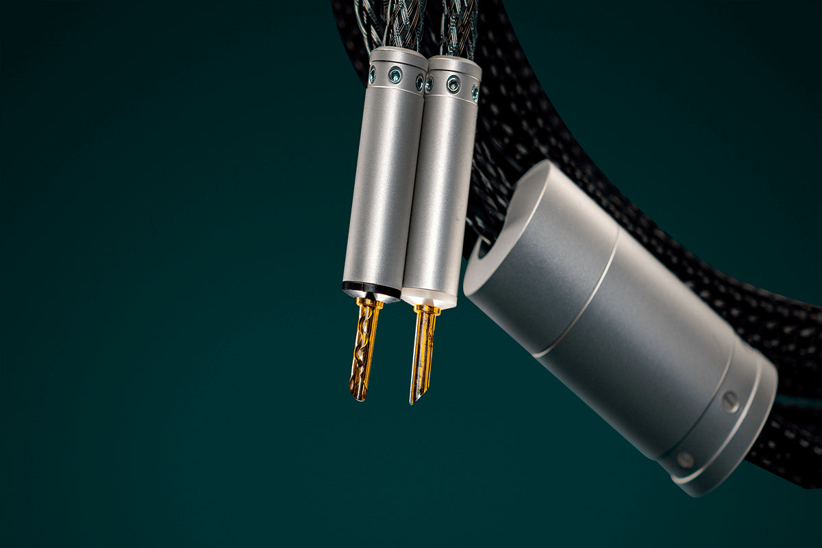 Ansuz Speakz P2/Speaker Cable