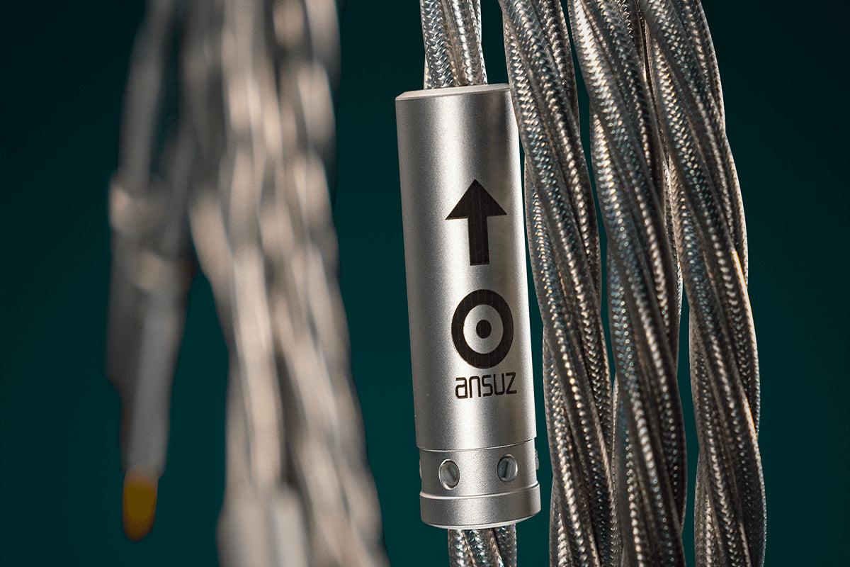 Ansuz Speakz X2/Speaker Cable