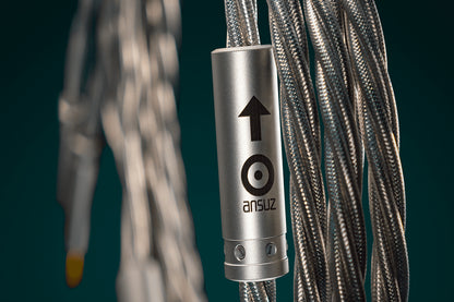 Ansuz Speakz X2/Speaker Cable