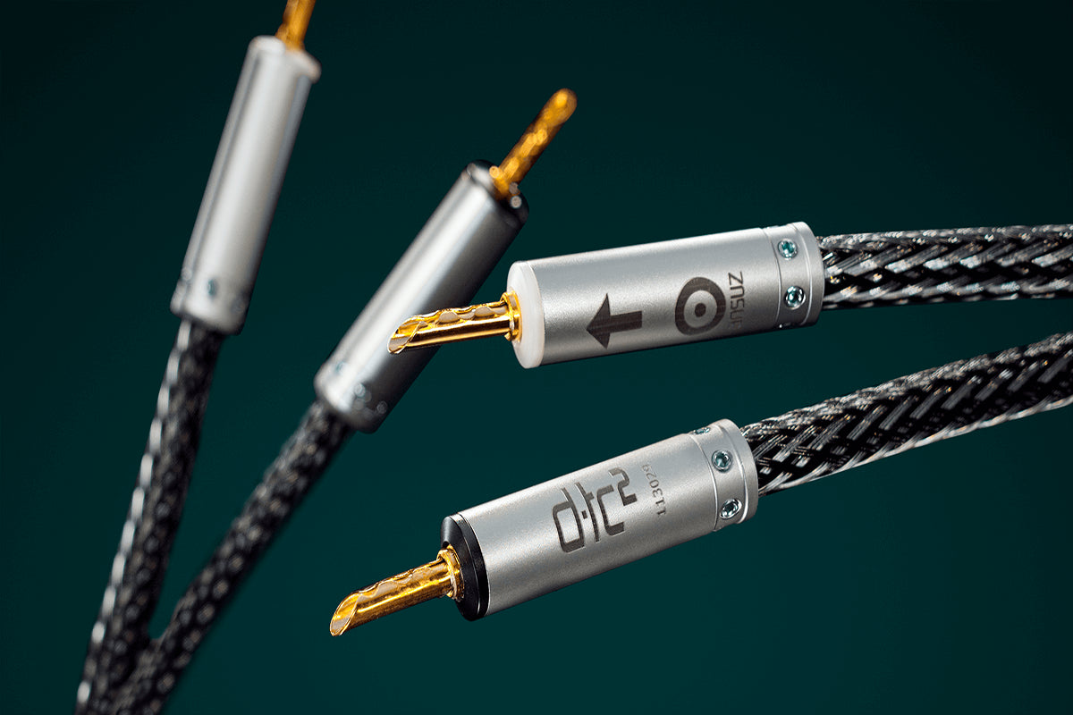 Ansuz Speakz D-TC2/Speaker Cable