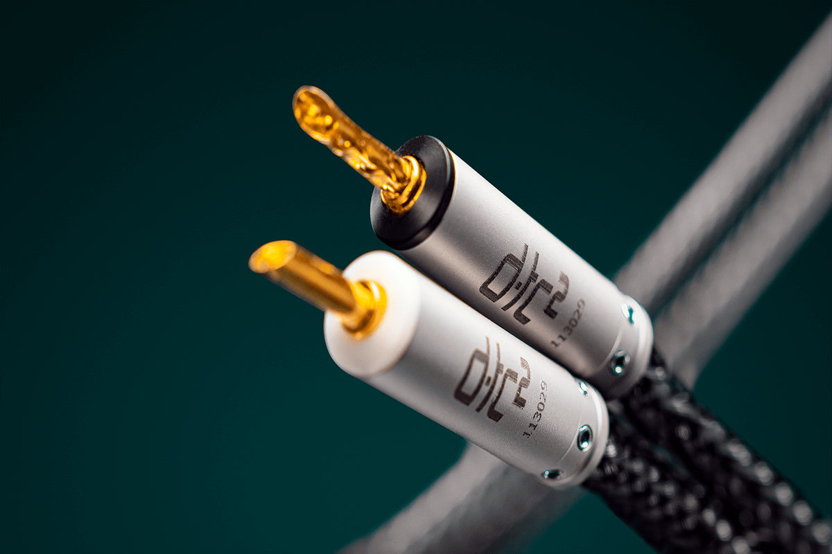 Ansuz Speakz D-TC2/Speaker Cable