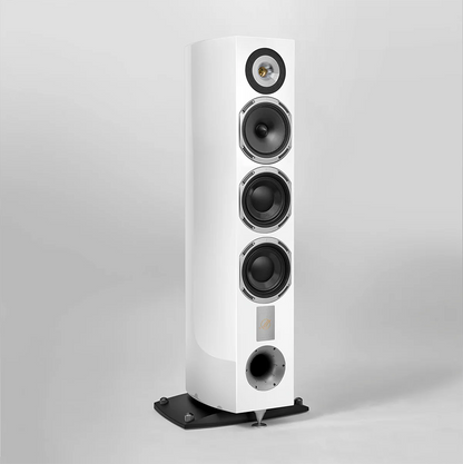 Triangle Magellan Cello 40th