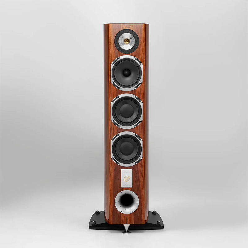 Triangle Magellan Cello 40th